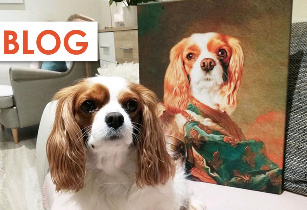 Zvieracie portréty na plátne - perfektné obrazy pre celú rodinu