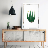 Obraz Kaktus na zrkadle Mirrora 69 - 60x40 cm