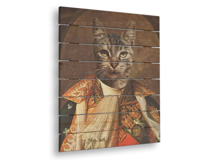 Obraz na dreve zvierací portrét Kim - 60x80 cm | rôzne uniformy