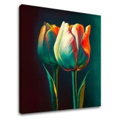 Dizajnová dekorácia na plátne Ráno s tulipánom | 100x100 cm