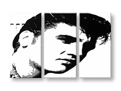 Ručne maľovaný POP Art obraz ELVIS