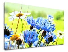 Obraz na stenu KVETY  Zľava 60 % 60x90 cm