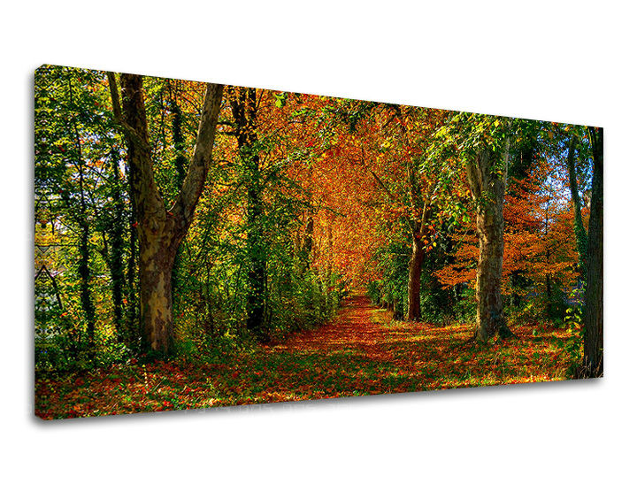 Obraz na stenu PANORÁMA STROMY 30x60 cm