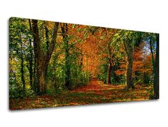 Obraz na stenu PANORÁMA STROMY 60x120 cm